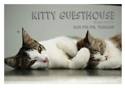 Kitty Guesthouse – Photos 11